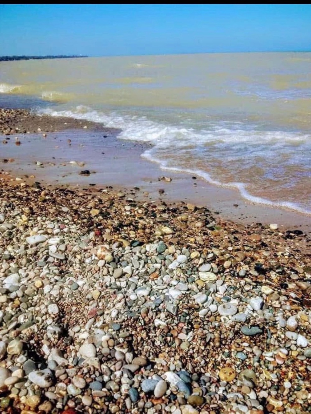 Lake Michigan Great Lakes Pallet. Yooperlites, fossils, beach glass, hag stones. - Picture 2 of 16